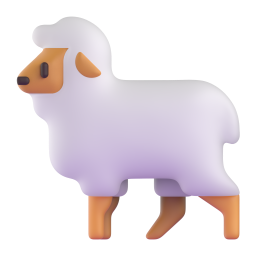 ewe