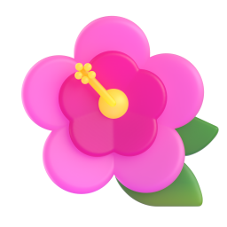 Hibiskus
