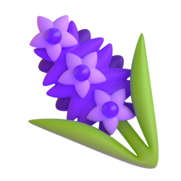 Hyazinthe