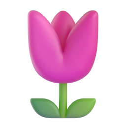 Tulpe