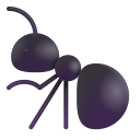 ant