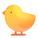 baby chick