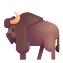 Bison