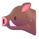 boar