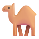 dromedario