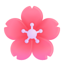 벚꽃