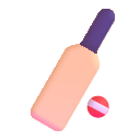 cricket game