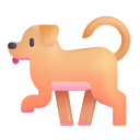 Hund