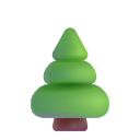 evergreen tree