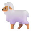 ewe