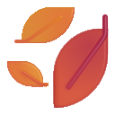 fallen leaf