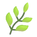 herb