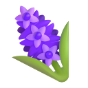 Hyazinthe