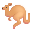 kangaroo