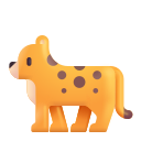 leopard