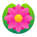 Lotusblüte