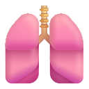 lungs
