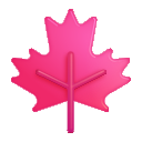 maple leaf