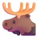 moose