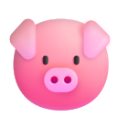pig face