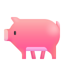 pig