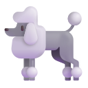 poodle
