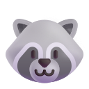 raccoon