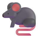 rat