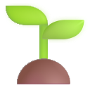 planta joven