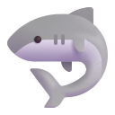 shark