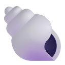 spiral shell