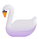 swan