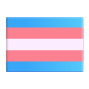 transgender flag