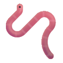 worm