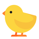 baby chick