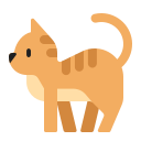แมว