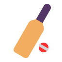 cricket game