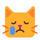 哭泣的猫