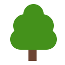 deciduous tree