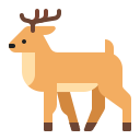 geyik