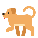 Hund
