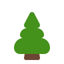 evergreen tree