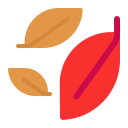 fallen leaf