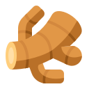 ginger root