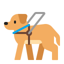 cane guida