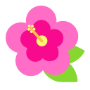 Hibiskus