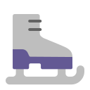ice skate