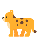 leopard