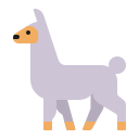 llama