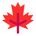 maple leaf